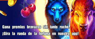 Prueba la suerte ahora 💰